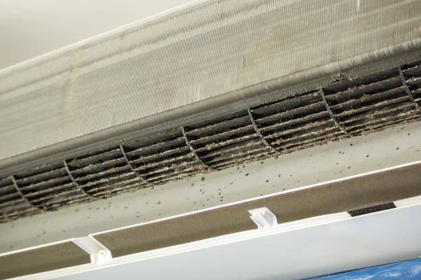 Best Affordable Duct Cleaning Services  in Oakville, MO